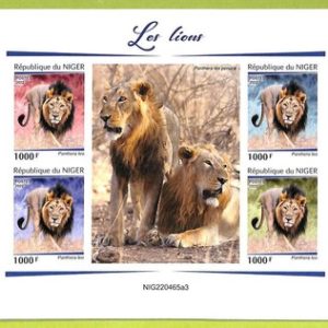 B0627 - NIGER - ERROR IMPERF  Stamp Sheet - 2022 - FAUNA  Lions