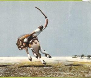 af1166 - ARGENTINA - Vintage Postcard - Ethnic