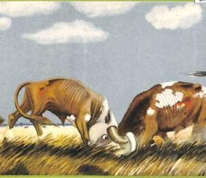 af1169 - ARGENTINA - Vintage Postcard - Ethnic