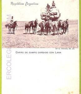 af1191 - ARGENTINA - Vintage Postcard - Caro de Campo Cargado con Lana