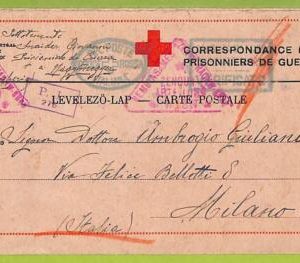 af9810 - ITALY - POSTAL HISTORY - FELDPOST Stationery Card - 1918 Red Cross