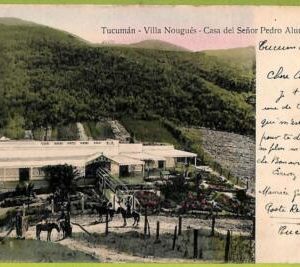 af1121 - ARGENTINA - Vintage Postcard - Tucuman - Villa Nougues