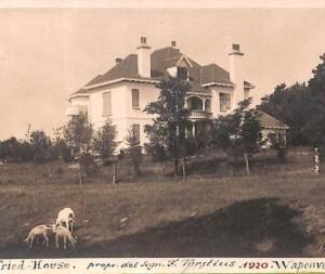 ac0241 - Ansichtskarten VINTAGE POSTCARD - NETHERLANDS  - Wapenveld - 1920