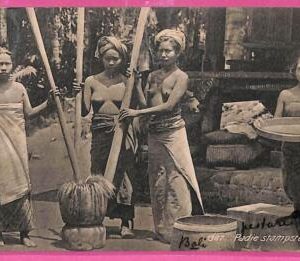 af8840 - INDONESIA - Vintage POSTCARD -  Bali - ETHNIC Costumes