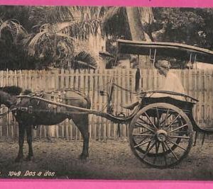 af8846 - INDONESIA - Vintage POSTCARD -  Batavia - 1934, Ethnic