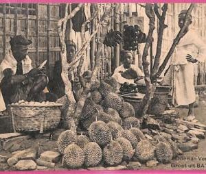 af8855 - INDONESIA - Vintage POSTCARD -  Batavia - 1909  - Ethnic