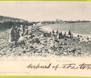 0728 - SPAIN - VINTAGE POSTCARD - Gran Canaria