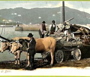 af5344 - SWITZERLAND Schweiz - Ansichtskarten VINTAGE POSTCARD - Locarno
