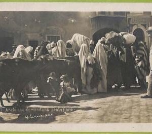 af6449 - LIBYA - VINTAGE POSTCARD - Tripoli - Real Photo