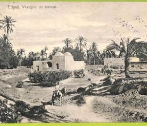 af6471 - LIBYA - VINTAGE POSTCARD - Tripoli  - 1911