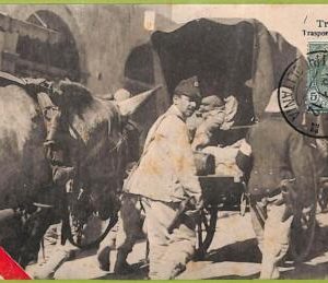 af6459 - LIBYA - VINTAGE POSTCARD - Tripoli  - 1912