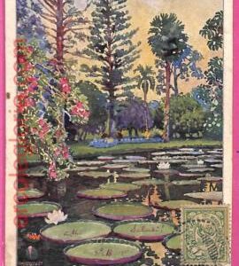 af8886 - INDONESIA - Vintage POSTCARD - Java - 1921
