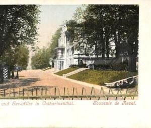 ac1203 - Ansichtskarten VINTAGE POSTCARD - ESTONIA  - Reval - 1901