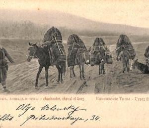 ac0316 - Ansichtskarten VINTAGE POSTCARD - GEORGIA  -Types du Caucase