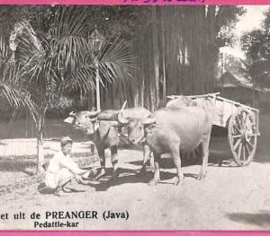af8888 - INDONESIA - Vintage POSTCARD - Java