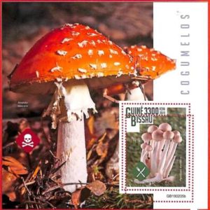 A1849 - GUINEA BISSAU, ERROR: MISSPERF, SOUVENIR SHEET - 2019, Mushrooms