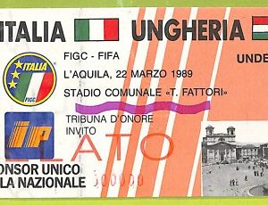 C2605- Vecchio BIGLIETTO PARTITA CALCIO 1989 ITALIA VS UNGHERIA