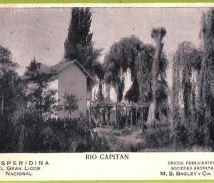 af0847 - ARGENTINA - Vintage Postcard - Rio Capitan
