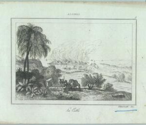84898 - ALGERIA - VINTAGE Italian Engraving 1800's - LA  CALLA