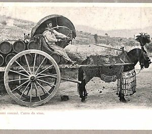 ab0295 - CARTOLINA D'EPOCA - ROMA Città : Carro da vino