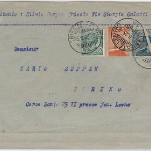 47659  - ITALIA REGNO - STORIA POSTALE - RARA VARIETA' su BUSTA 1923