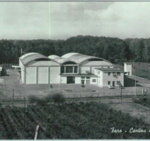 90960 - CARTOLINA d'Epoca  - NOVARA Provncia  - FARA Cantina Sociale 1964