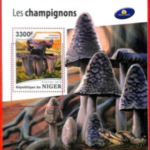A4371 - NIGER - ERROR MISPERF, Hoja de recuerdo: 2018, Setas