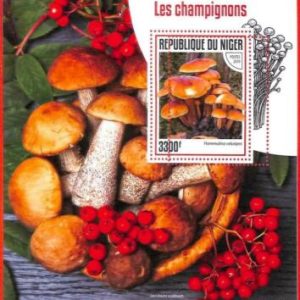 A4332 - NIGER -ERROR MISPERF Hoja de recuerdo: 2019, Hongos