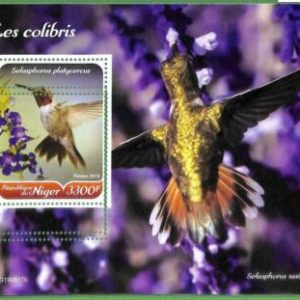 A2440 - NIGER - ERROR: MISSPERF, Hoja de recuerdo - 2019, Colibríes, Aves
