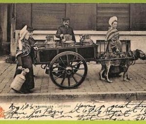 af4341 - BELGIUM - VINTAGE POSTCARD - 1904 - Working Dogs