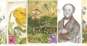 15631 - SWIZZERLAND -   PRO JUVENTUTE Set of 5  MAXIMUM CARD  1954    BUTTERFLY