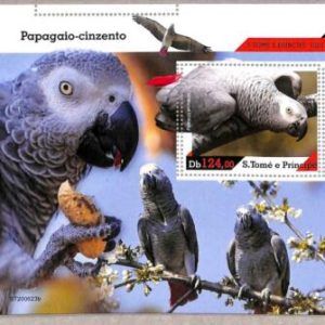 A6604 - SAO TOME & PRINCIPE ERROR MISSPERF: 2020