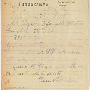61449 -  Regno - STORIA POSTALE:  FONOGRAMMA spedito da ALBERIGO ALBRICCI  1919