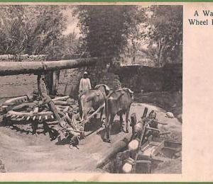 ah2352 - VINTAGE POSTCARD  - Egypt -  1905 - ETHNIC