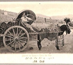 ab0388 - CARTOLINA D'EPOCA -ROMA Città : Carro da vino