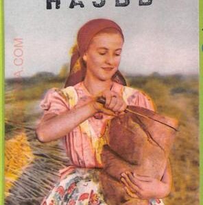 ae8229  - HUNGARY  - RADIO CARD  - 1955 - Budapest