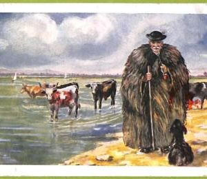 ae8227 - Ansichtskarten VINTAGE POSTCARD - HUNGARY - Ethnic -  Costumes