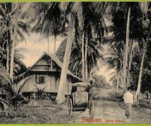 ae9283 - SINGAPORE -  VINTAGE POSTCARD - Native village - 1911