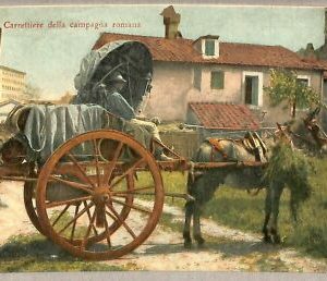 ab0246 - VINTAGE POSTCARD - ROME City: Carter of the Roman countryside