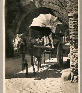 ab0278 - POSTAL VINTAGE - ROMA Ciudad