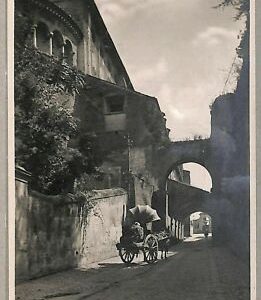 ab0231 - VINTAGE POSTCARD - ROME City
