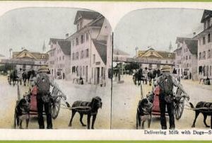 ah0329 - Switzerland - VINTAGE POSTCARD - Delivering Milk with Dogs