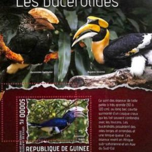 A5003- GUINEA - FEHLER - MIPERF Briefmarkenbogen 2019 VÖGEL