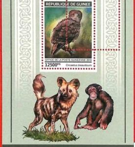 A1946 - GUINEA, ERROR: MISSPERF, SOUVENIR S - 2019 Aves, especies en extinción