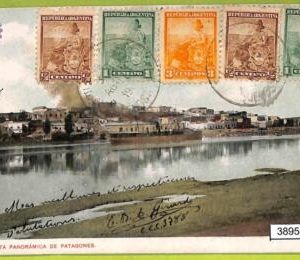 38958 - ARGENTINA - VINTAGE POSTCARD -  Patagones, Buenos Aires