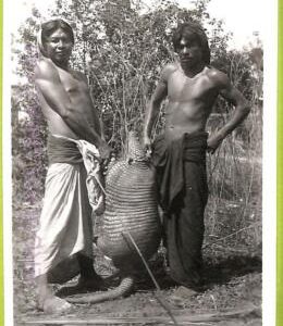 17725 - ARGENTINA - VINTAGE POSTCARD - Ethnic, Indios