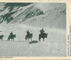 16394 -CHILE - vintage POSTCARD    - ANDES !