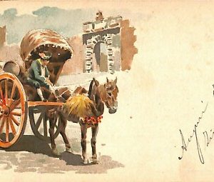 ab0674 - CARTOLINA D'EPOCA - ROMA Città