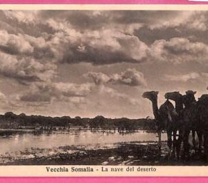 af9035 - SOMALIA - VINTAGE POSTCARD - Desert ship, Old Somalia