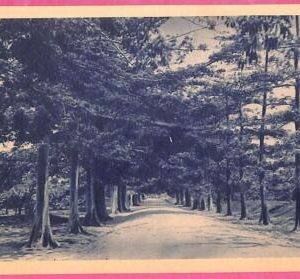 af9059 - SOMALIA - VINTAGE POSTCARD - Mogadiscio